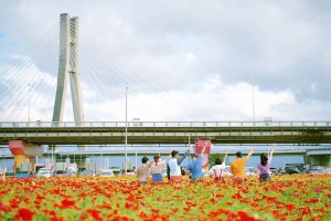 【賞花】愛戀水漾 百花綻放新北大都會公園