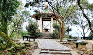 飛鳳山大板根，觀日坪古道，石壁潭山，中坑山