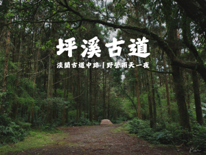 坪溪古道兩天一夜｜淡蘭古道中路絕佳野營地、漫步在柳杉與溪流的綠色林道