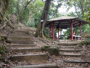 新店小獅山悠遊行