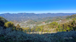 20250215馬那邦山+細道邦山行程記錄