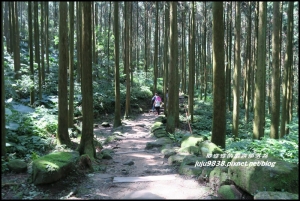 新竹關西。馬武督探索森林。元氣步道。綠光小學。楊梅老樹。瀑布群。