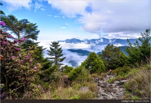 【花蓮】單攻羊頭山