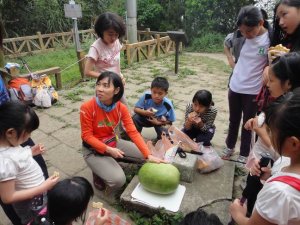 大家作伙來爬山! 108年班級活動-親師生造訪台南最高峰大凍山