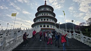 2025楓樹湖木蓮花即將大爆發，近似球形的花朵枝頭綻放，滿山滿谷粉紅泡泡，相當浪漫