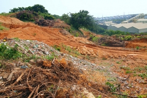 「整個森林被挖走！」 過境猛禽棲地 鳳山丘陵違法開挖