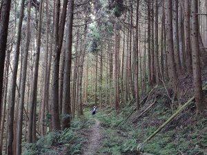 2020-034：麥巴來山、麥巴來山西峰O型縱走