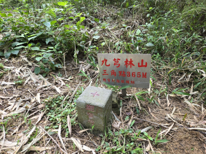 美濃雙溪樹木園（九芎林山）