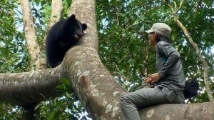 【新聞】「牠們比貓熊更珍貴」 台灣黑熊保育登CNN頭條
