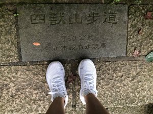 台北大縱走～101遠眺