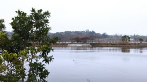 苗栗山海線一日遊‧龍昇湖步道，鄭漢步道