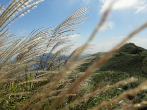 【山系野遊】陽明山東段縱走之七星山主、東峰