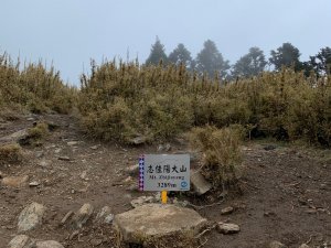 單攻志佳陽大山