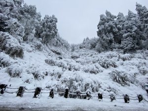 【網友】2021寒流特輯！10張雪季美景，每一張都讓人驚艷！