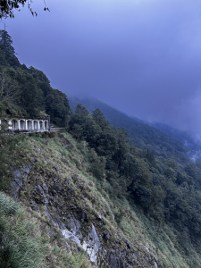 [健行] 阿里山 - 眠月線 迷霧森林之旅