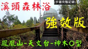 溪頭鳳凰山天文台神木O型