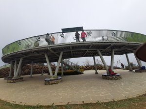 投54苦茶嶺林道到雲嶺之丘
