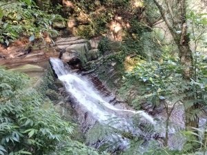 汐止區茄苳越嶺古道+上鹿窟崙山+九層坪山+四分尾山+大尖山8字走