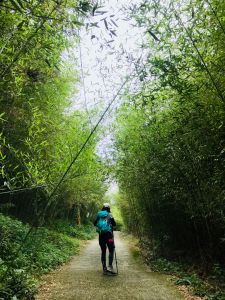 20170722台南第一高山-大凍山