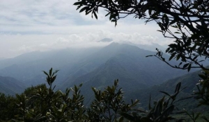 芝生毛台山