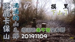 逐鹿、卡保山，黄金山毛櫸看到爽、摸黑下山、全身都是爛泥巴