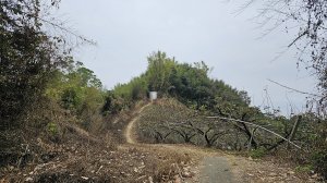 小中嵙登山步道頂中嵙山O形