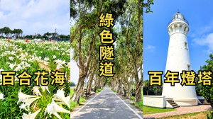 桃園觀音一日遊｜百合花海大爆發！走進綠色隧道與百年燈塔