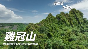 一個人騎單車去爬山！登頂360度環景遠眺85大樓！高雄雞冠山