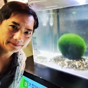 Howard Peng的頭像