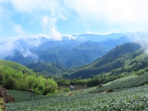 四大天王山連走