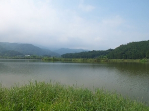 雙連埤環湖步道