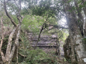 滿月圓登東眼山O型