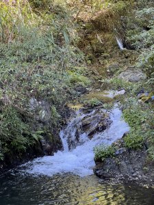 老鷹溪步道-裡埔瀑布-李棟山古堡_20241019