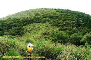 【新北市】林市古道-大尖山-富士坪山-富士古道-瑞泉古道