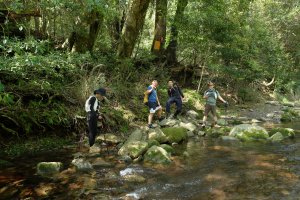 苗栗南庄鄉 二訪加里山 ‧ 2025春 哈加