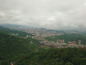 貓空樟樹步道 2017.05.21