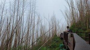 1140426二延平步道接茶林山步道續走隙頂山