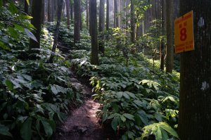 向天湖山、光天高山O型