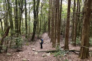 【台中和平區】谷關七雄~屋我尾山(北入口_ 大雪山登山口)