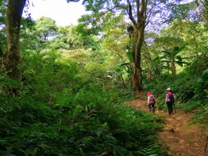 【苗栗大湖】台灣百大必訪步道~馬那邦山