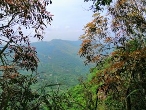 【南投。國姓】地震後的自然遺跡#47小百岳九份二山 堰塞湖