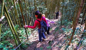 鳥嘴山