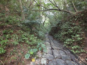 蚊子坑古道-和美山-北勢坑古道