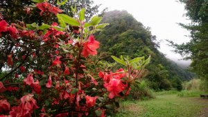 （獅仔頭山，土庫岳）小百岳
