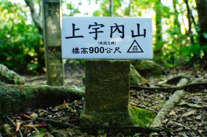 桃園 復興 上宇內山、南插天山