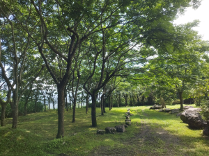 [宜蘭礁溪][一]北五峰旗山(五峰旗山北峰)、五峰旗山、五峰旗山東南、米曲瑤山、武蘭莊、莿子崙莊、塭底庄