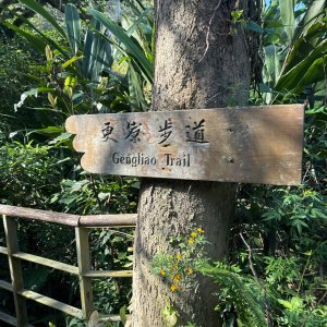 20260110 更寮古道(小百岳-土庫岳)