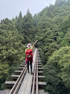 塔山步道、失落眠月線、神木園區（第二天）20260909