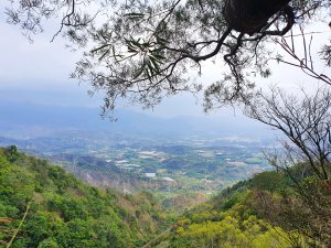 【來去鄉下住一晚】永興採梅趣&山海圳東西口越嶺