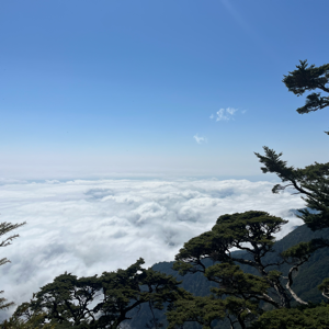 吹著湖風以為海風的頭像